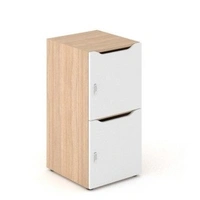 <b>C2C092</b> - Single Row Locker w/2 Small Lockable Doors & Mail Slots