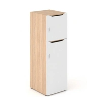 <b>C3C133</b> - Single Row Locker w/Big & Small Lockable Doors & Mail Slots