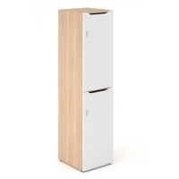 <b>C4C185</b> - Single Row Locker w/2 Big Lockable Doors & Mail Slots