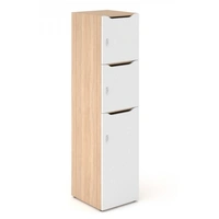 <b>C4C186</b> - Single Row Locker w/2 Small & 1 Big Lockable Doors & Mail Slots