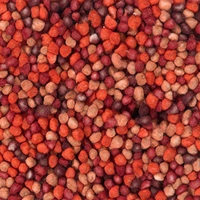 Red/Maroon/Orange