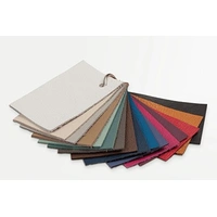 Special Order Colors