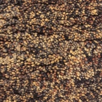 Brown/Yellow/Charcoal