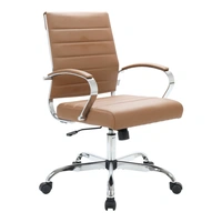 Light Brown/Silver