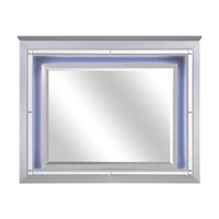 Silver Leatherette/Faux Alligator