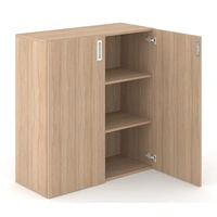 C3C101 - Cabinet (with lock and 2 shelves; without base)
