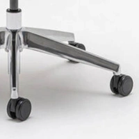 Polished aluminum