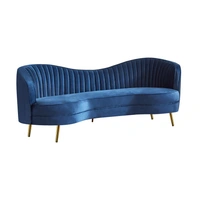 Blue/Gold