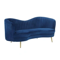 Blue/Gold