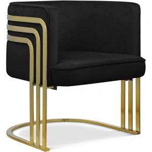 Meridian Furniture Rays Velvet Accent Chair