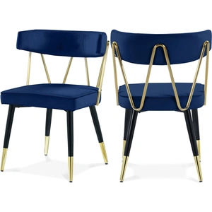 Meridian Furniture Rheingold Dining Chair with Matte Black Metal Legs & Gold Tips (Set of 2)