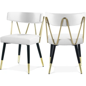Meridian Furniture Rheingold Dining Chair with Matte Black Metal Legs & Gold Tips (Set of 2)