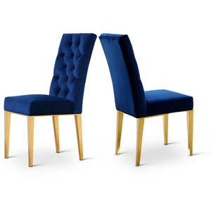 Meridian Furniture Capri Velvet Dining Chair (Set of 2)