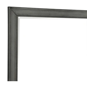 Homelegance Wittenberry Mirror, Gray