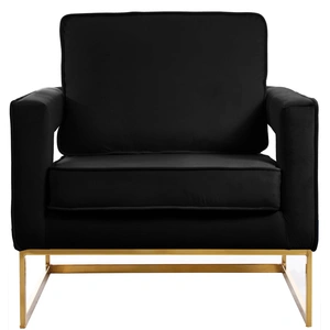 Meridian Furniture Noah Velvet Accent Chair with Gold Stainless Steel Base