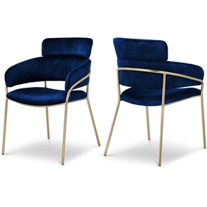 Meridian Furniture Yara Velvet Dining Chair (Set of 2)