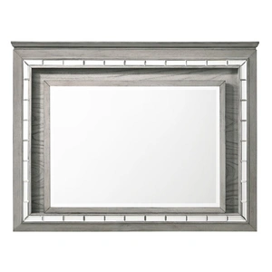ACME Antares Rectangular Mirror w/LED Lighting, Light Gray