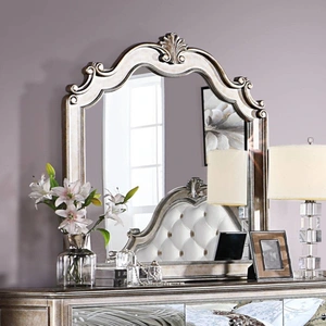 ACME Esteban Wood Mirror, Antique Champagne