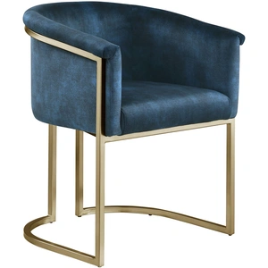 Meridian Furniture Tierra Velvet Dining Chair