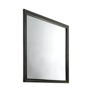 ACME Carine II Wood Mirror, Gray