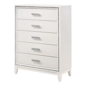 ACME Haiden Wood Chest w/5 Drawers