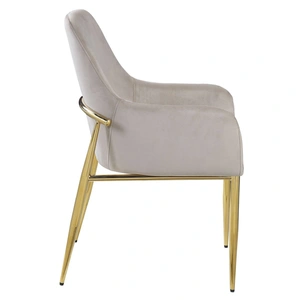 ACME Barnard Velvet Dining Side Chair, Gray/Gold (Set of 2)
