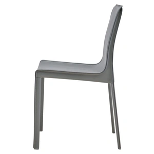NPD (New Pacific Direct) Gervin Recycled Leather Chair (Set of 2)