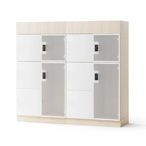 NARBUTAS Choice Office Single Row Locker w/2 Small Lockable Doors w/Electronic Hidden RFID Lock