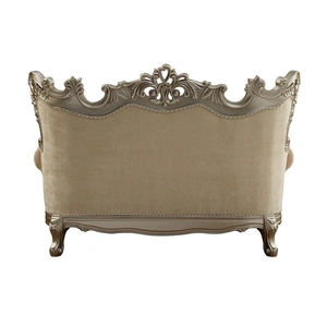 ACME Ranita Fabric/Wood Loveseat w/Pillows in Champagne