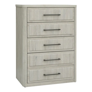 Liberty Furniture Modern Play Wood 5-Drawer Chest, Natural White