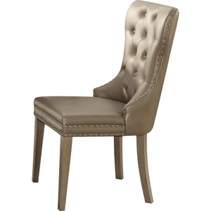 ACME Kacela PU Dining Side Chair, Champagne (Set of 2)
