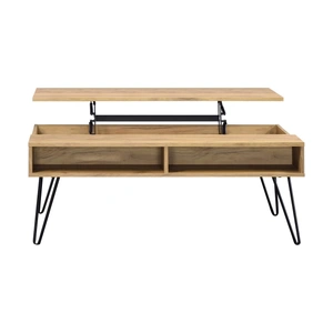 Coaster Fanning Wood Veneer Lift Top Storage Coffee Table, Golden Oak/Black