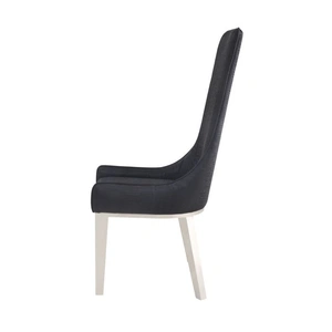 ACME Gianna PU/Steel Dining Side Chair in Black (Set of 2)