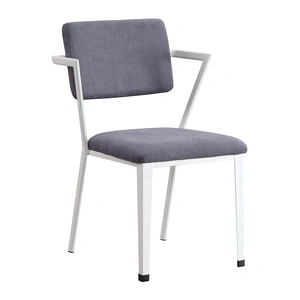 ACME Cargo Fabric/Metal Side Chair (Set of 2)