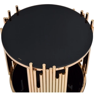 ACME Tanquin Glass/Metal Round End Table, Black/Gold