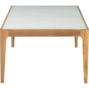 ACME Gwynn Frosted Glass/Wood Rectangular Coffee Table, Frosted/Brown