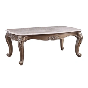 ACME Jayceon Marble/Wood Coffee Table, Champagne