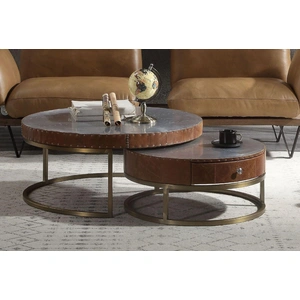 AF Modern Tamas 84885 Top Grain Leather/Aluminum Coffee Table, Aluminum & Cocoa