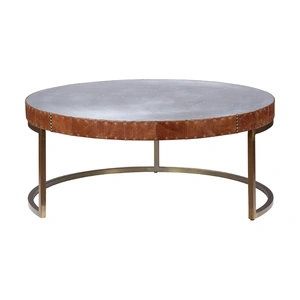 AF Modern Tamas 84885 Top Grain Leather/Aluminum Coffee Table, Aluminum & Cocoa