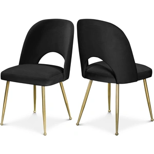 Meridian Furniture Logan Velvet Dining Chair with Brushed Gold Ball Leg Design (Set of 2)