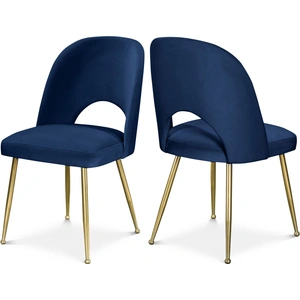 Meridian Furniture Logan Velvet Dining Chair with Brushed Gold Ball Leg Design (Set of 2)
