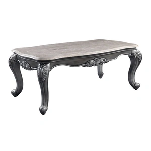 ACME Ariadne Marble/Wood Coffee Table, Gray