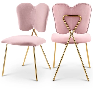 Meridian Furniture Angel Velvet Dining Chair with Gold Iron Legs (Set of 2)