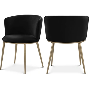 Meridian Furniture Skylar Dining Chair (Set of 2)