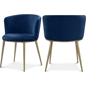 Meridian Furniture Skylar Dining Chair (Set of 2)