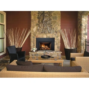 Sierra Flame ABBOT 30-inch Gas Deluxe Direct Vent Insert