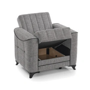 Casamode Ace Polyester Convertible Storage Chair