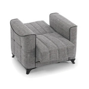 Casamode Ace Polyester Convertible Storage Chair