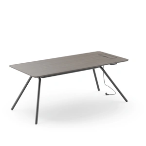 NARBUTAS Arqus Veneer Rectangular Executive Desk