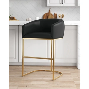 Manhattan Comfort Louvre 40-inch Leatherette/Stainless Steel Barstool